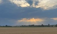 Sonnenstrahlen über einem Feld